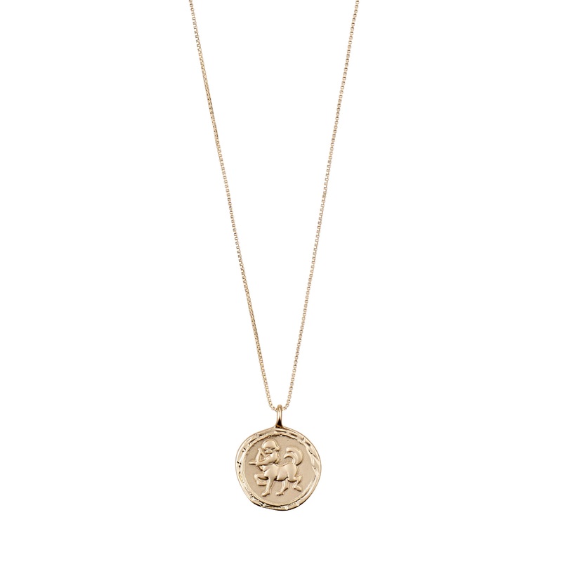 SAGITTARIUS Zodiac Sign Coin Necklace, gold-plated