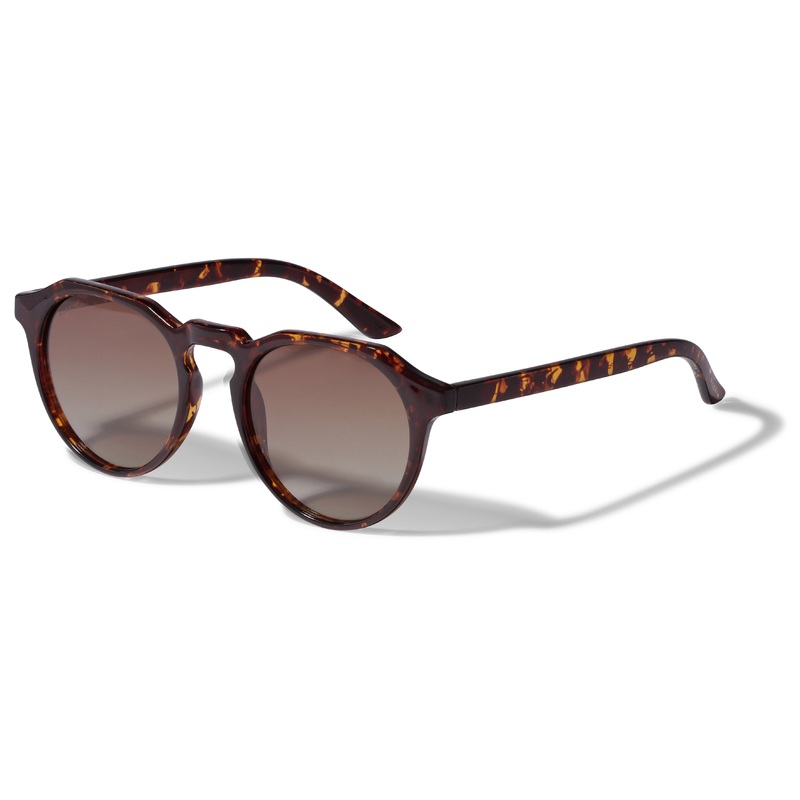 ALEJANDRA sunglasses tortoise brown