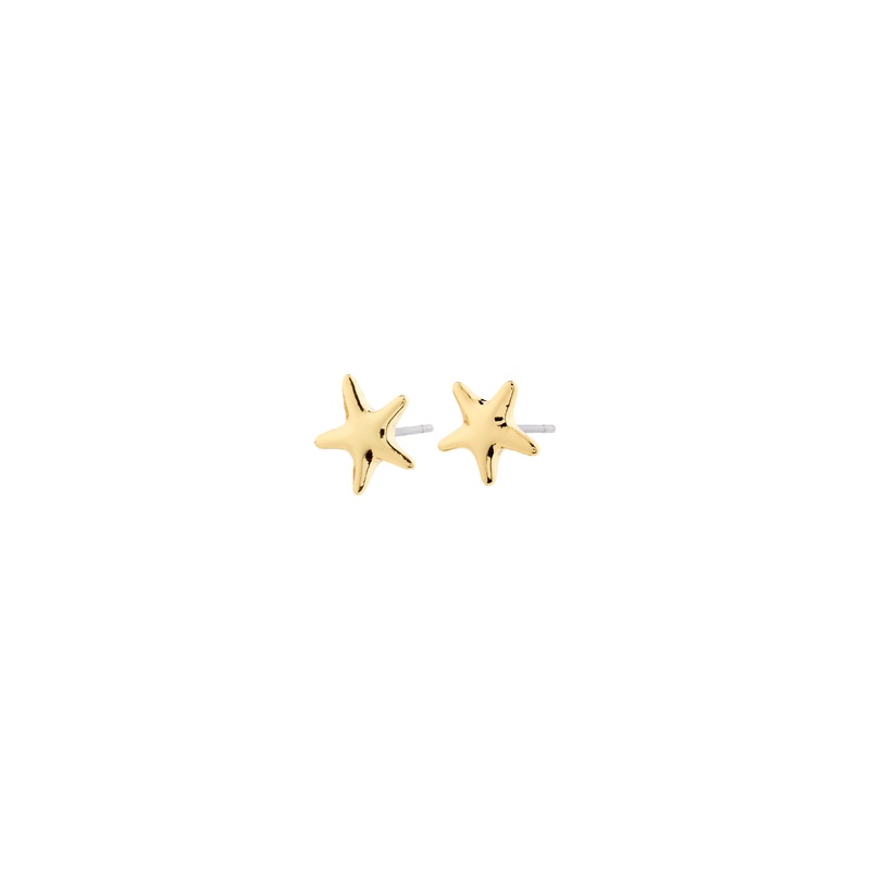 ANDR earrings gold-plated