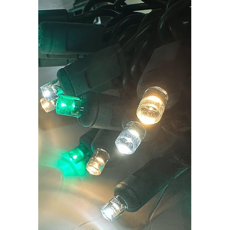 ColorSplash Winter, 5mm Multicolor LED Christmas Lights, 50 Bulbs