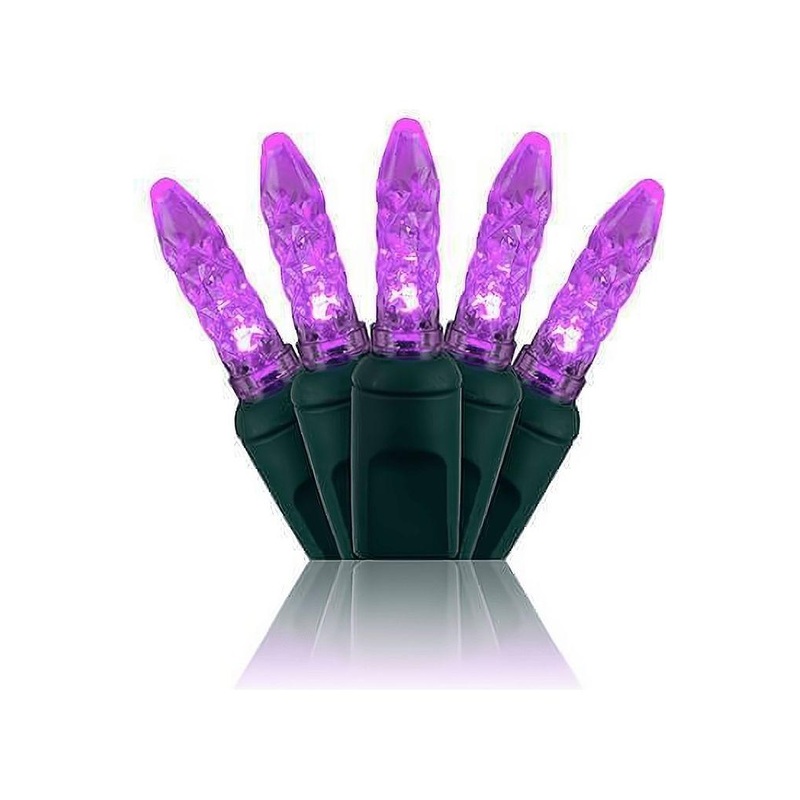 M5 Purple LED Mini Lights, 50 Bulbs