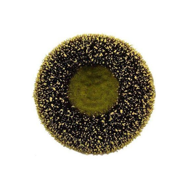 5″ Sunflower Flower Center: Yellow/Black
