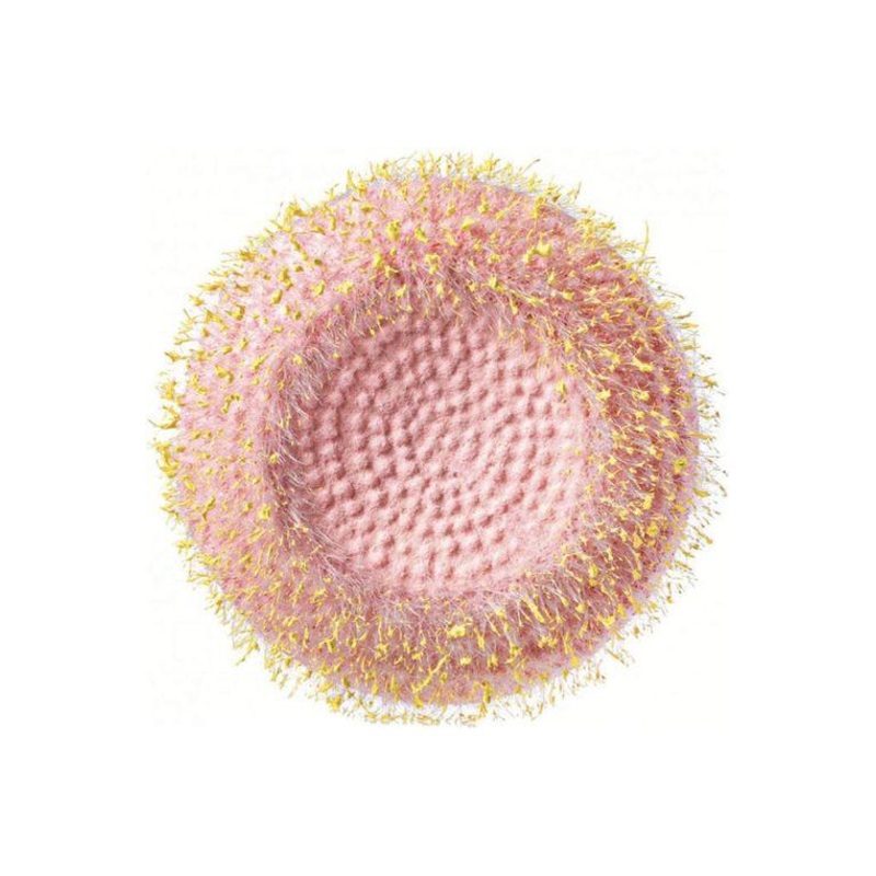 6.25″ Flower Head Center: Pink/Yellow