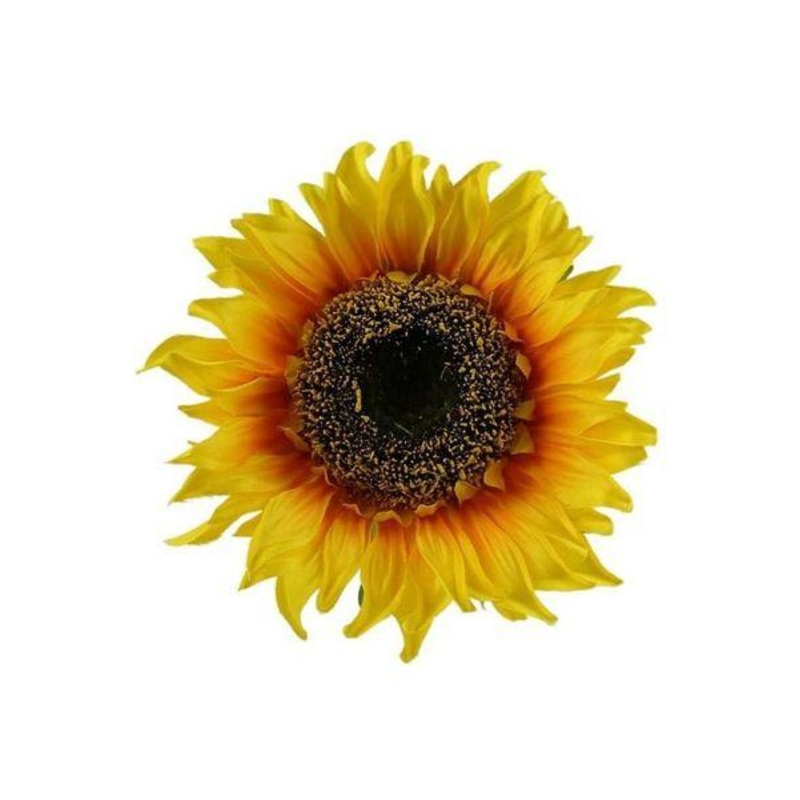 11″ Sunflower Head