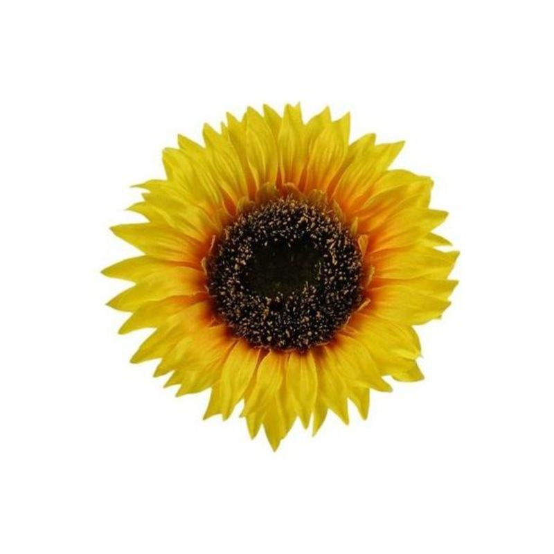 5″ Sunflower Head