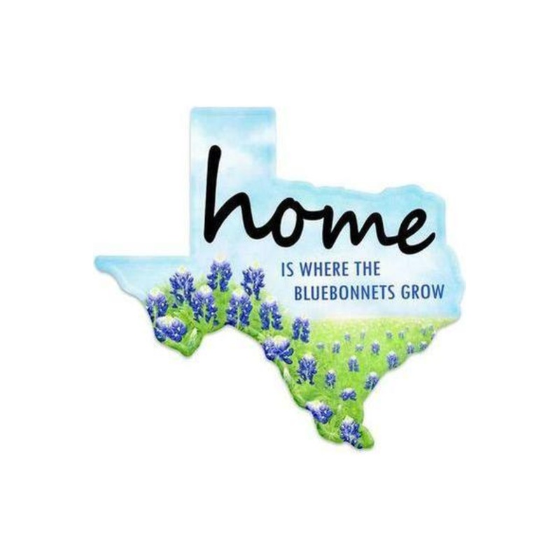 12″ Metal Embossed Hanger: Texas Bluebonnets