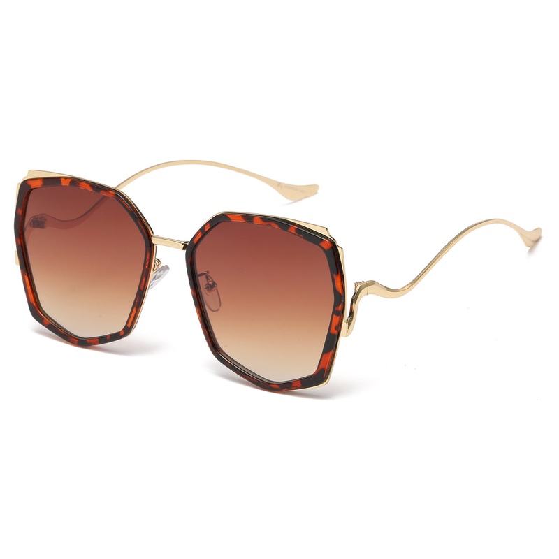 VG29595 Polymer Round Frame with Bold Temples