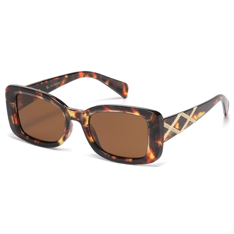 Polarized VG PZ-VG29698
