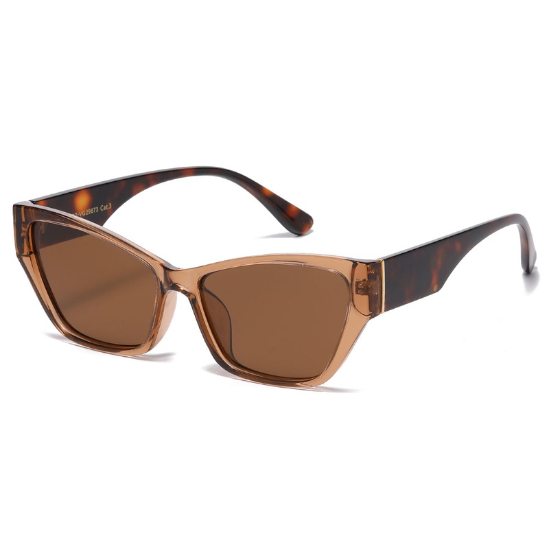 Polarized VG PZ-VG29673