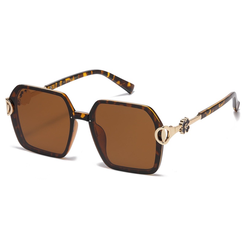 Polarized VG PZ-VG29696