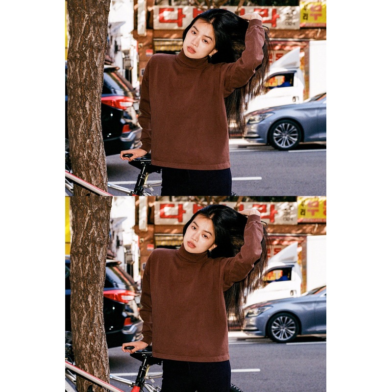 1411GD – Aspen Turtleneck