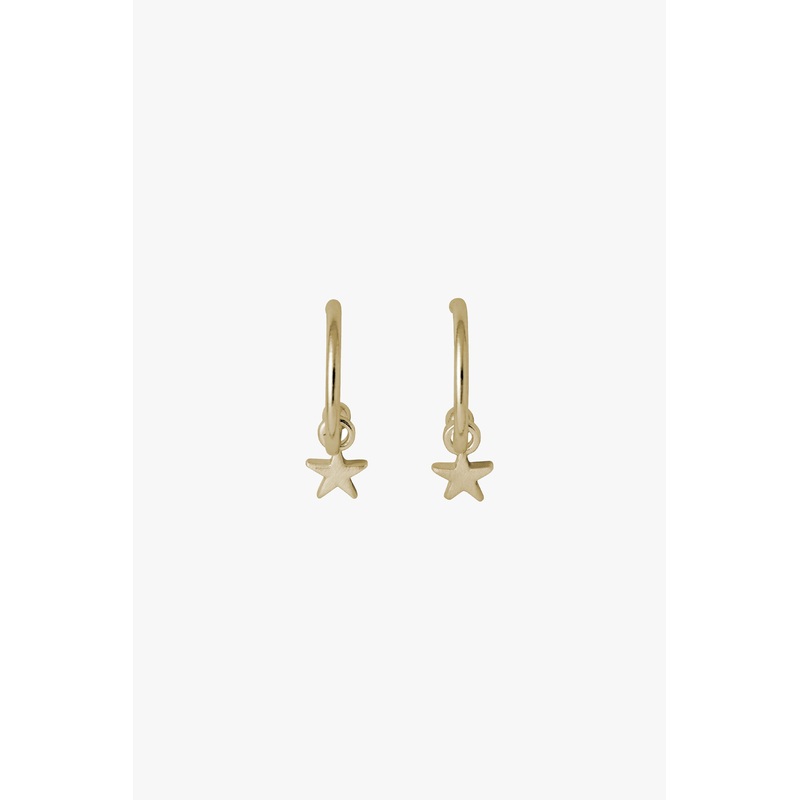 Ava Hoop Star Earring