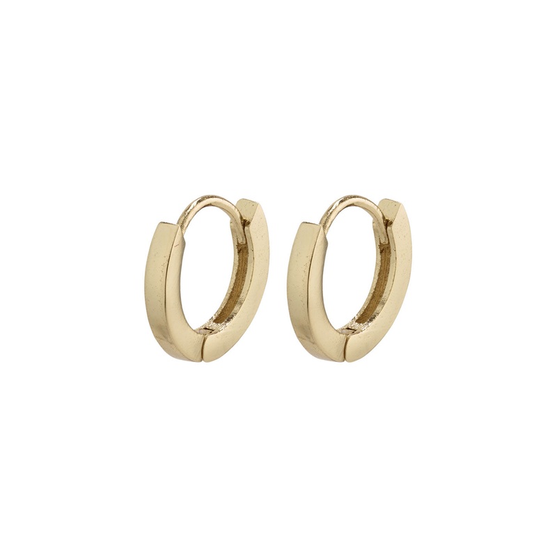 Arnelle Tiny Gold Plated Hoop Huggy Earrings