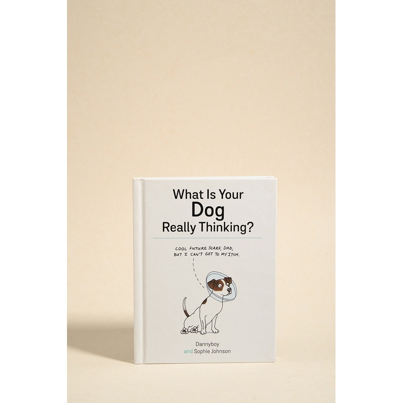 What Is Your Dog Really Thinking?