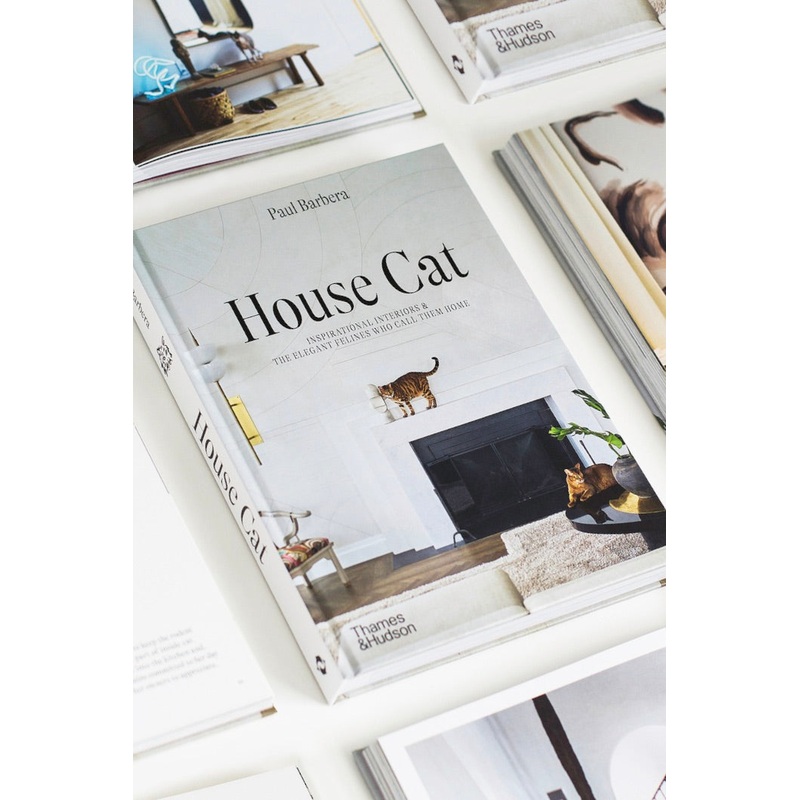 House Cat