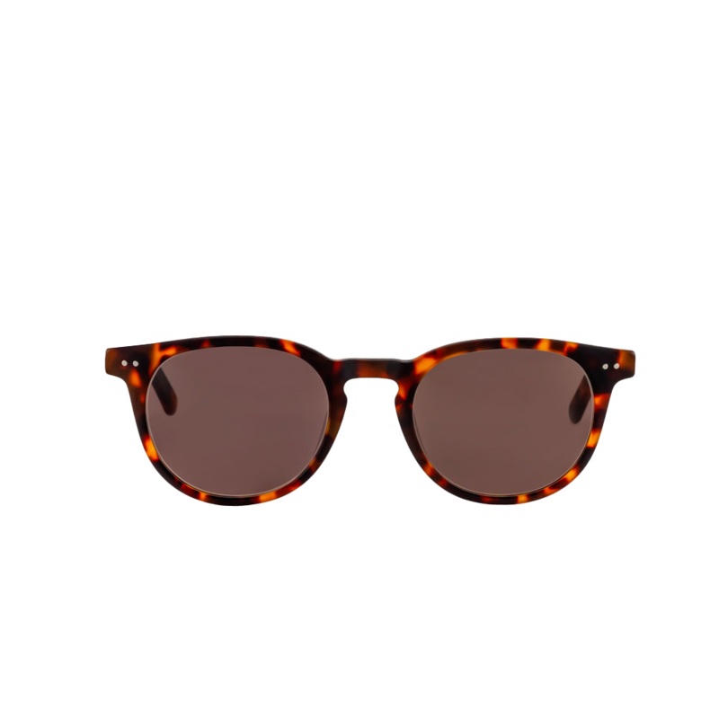 Clarke Sunglasses (Brown)