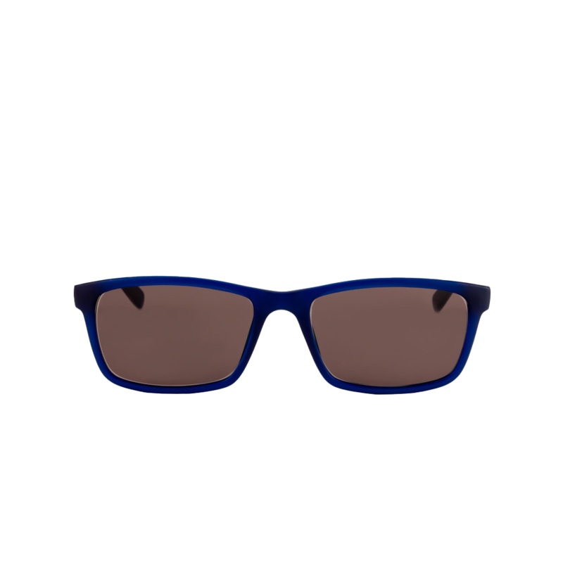 Hudson Sunglasses (Brown)