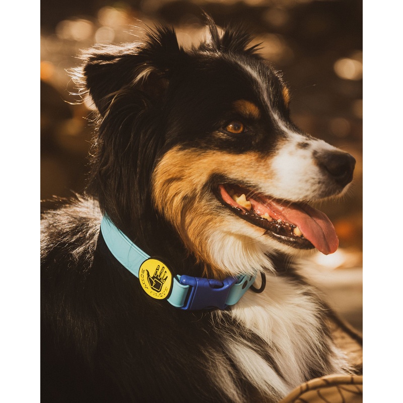 Waterproof Collar – Sea Mist
