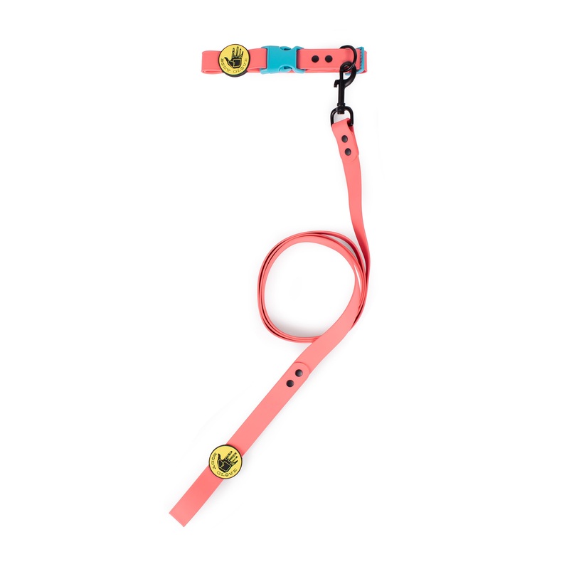 Waterproof Collar – Sunset