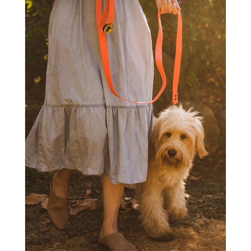 Waterproof Leash – Sunset