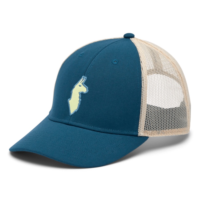 Cotopaxi Llama Trucker Hat
